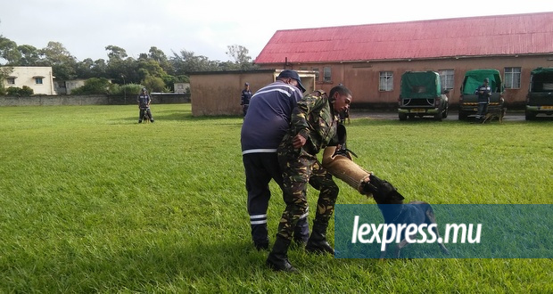 ■ Soumis à un «confidence test» mardi, ils ont été poursuivis par des chiens entraînés afin de vaincre leur frayeur des molosses.