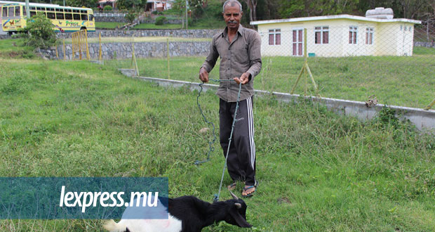 Jockenson Carpenen, éleveur à Montagne-Croupier, réclame une rencontre avec les autorités locales.