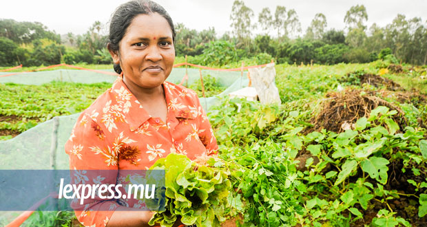 Les légumes bio coûtent en moyenne 90 % plus cher que ceux produits de manière conventionnelle.